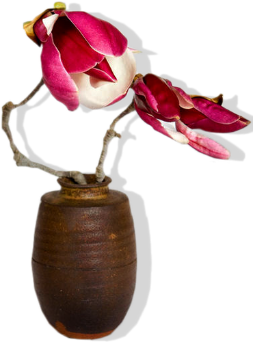 Цветы PNG